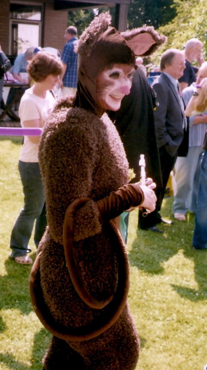 Mouse at fete