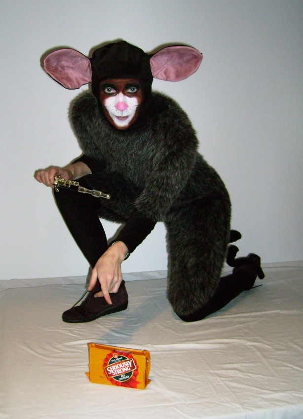 Mouse seeks cheese